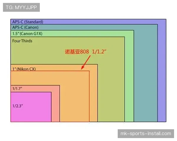 赖斯与托马斯中场战术角色与体系结构对比分析